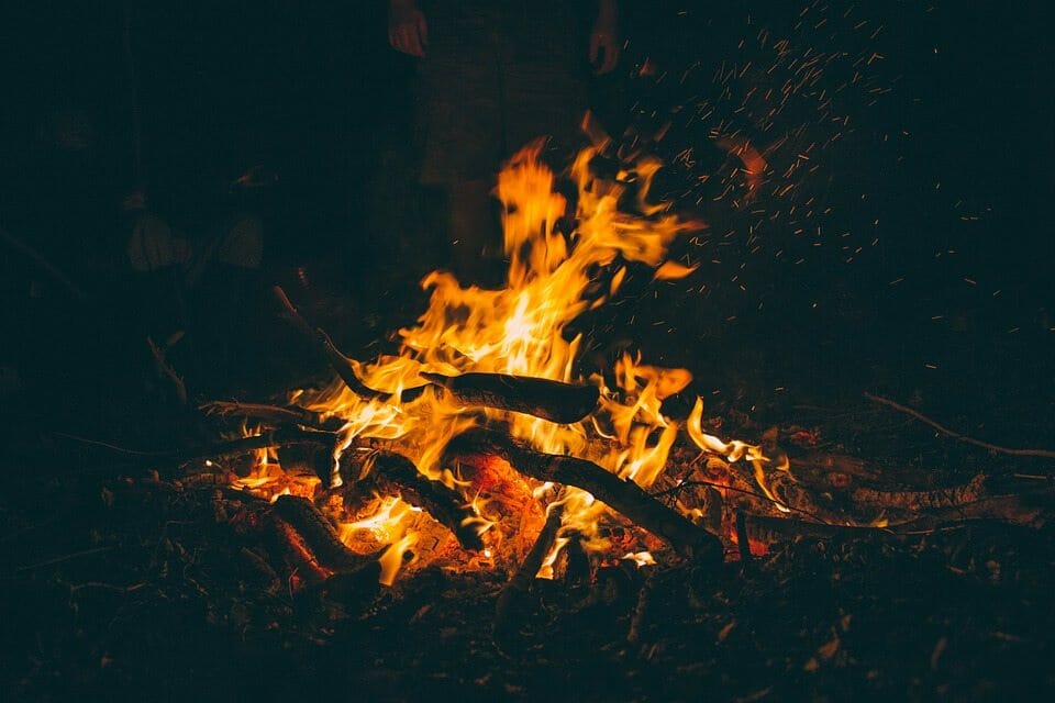 Image of Campfire burning in fire pit in woods