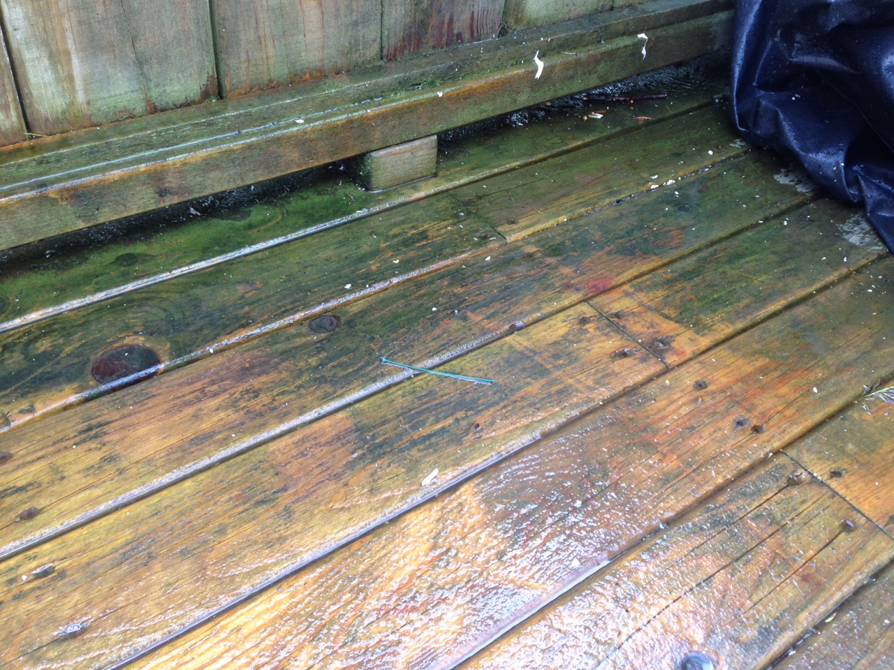 how to remove mildew from wood decking woca denmark