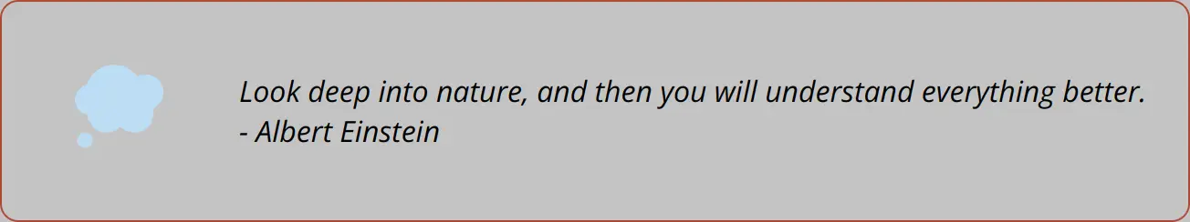 Quote - Look Deep Into Nature, And Then You Will Understand Everything Better. - Albert Einstein