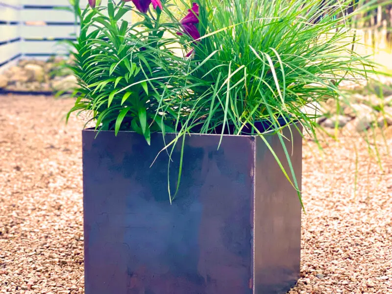 Corten Steel Planter Box 12x12x12 With Shelf